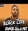 Black Life Navaan Sandhu Demo Song Download