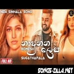 Nadunana Lesa Mp3 Song Download 2021