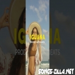 Iguana New Song Download