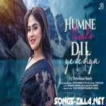 Hamne Tumko Dil Ye De Diya New Song Download
