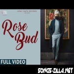 Rose Bud New Song Download Mp3