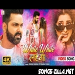 White White Lehenga Holi Song Download Mp3 2022