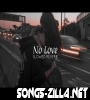 No Love Slowed Reverb Song Download Mp3