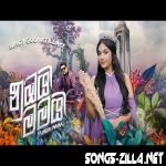Nubai Mamai New Song Download Mp3