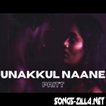 Unakkul Naane Pritt Slowed Lofi New Song Download Mp3