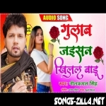 Gulab Jaisan Khilal Badu New Song Download Mp3