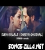 Sukh Kalale Lofi Slowed Reverb Song Download Mp3